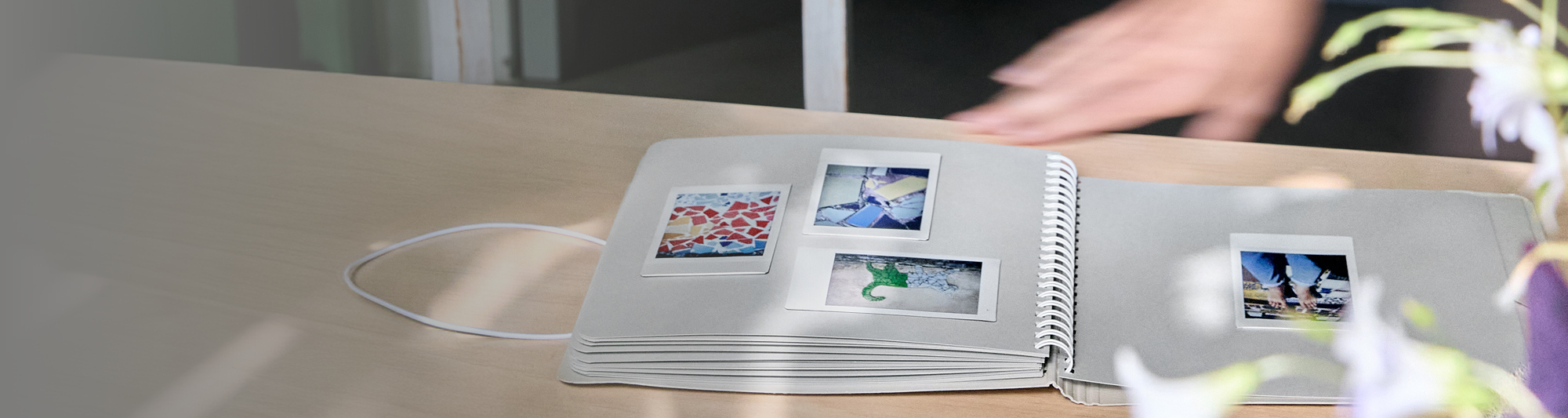 fotoalba_hlavní kategorie_pokus 2_varinaty2